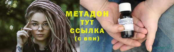 ПСИЛОЦИБИНОВЫЕ ГРИБЫ Михайлов