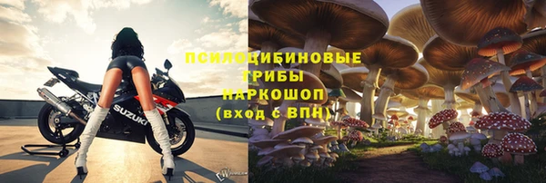 соль ск Алексеевка