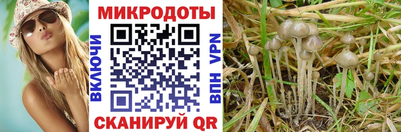 Псилоцибиновые грибы мухоморы  KRAKEN сайт  Туринск  купить наркоту 